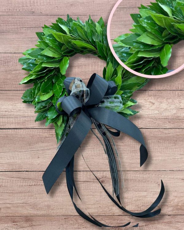 Corona di alloro laurea