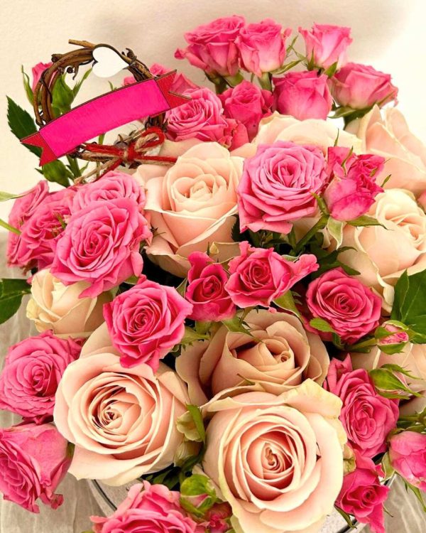 Roelline rosa