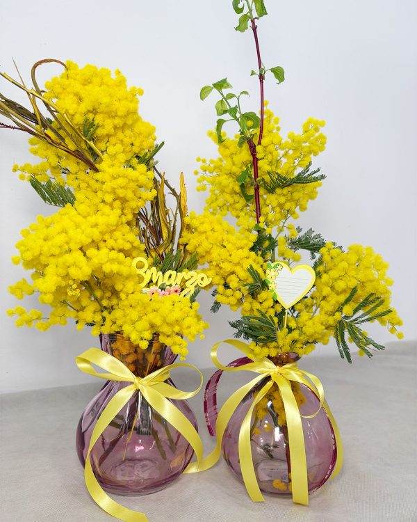 Mimosa in vasi colorati per la festa della donna